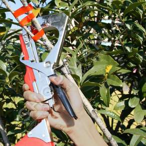 PAJISJE PER LIDHJEN E DEGEVE "GARDEN PLANT TYING MACHINE FIXED DEVICE WITH 3 ROLLS OF STRAP"