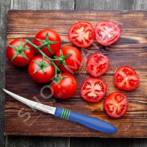 TRAMONTINA - SET 2 THIKA KUZHINE BLU - 10.2X0.2CM