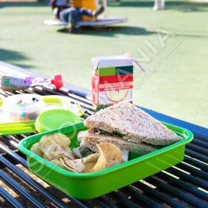 CURVER - TAS ME VAKUM 0.7L "SMART TO GO GREEN" - 3253920945006