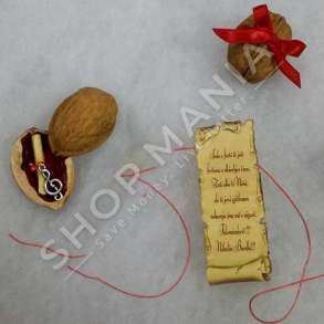 MESAZH NE KOKERR ARRE