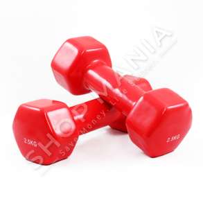 GIRA AEROBIE PER FITNESS - 2 COPE/2 KG