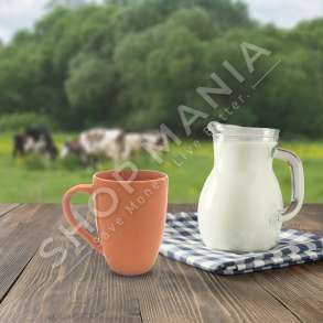 HOMESTYLE - FILXHAN PORCELANI - 384ML