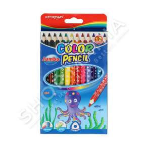 KEYROAD - BOJRA DRURI TE TRASHA - 12COPE