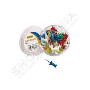 PINESKA ME KOKE ME NGJYRA