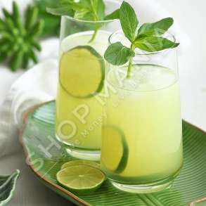 LAV - SET 6 GOTA UJI 480ML - LV-LAL376F