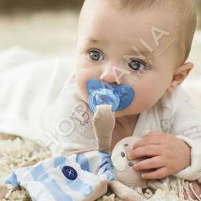 CHICCO - MBAJTESE BIBERONI NE FORME ARUSHI BOJEQIELLI "POCKET FRIEND" +0 MUAJ