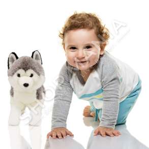 QEN HUSKY PREJ PELLUSHI 30CM