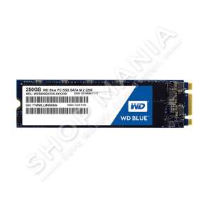 BLUE - HARD DISK BLUE SSD 250 GB WD  M.2