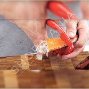 TESCOMA - QERUESE GAFORESH 15X6CM "PRESTO SEAFOOD" - 8595028475098