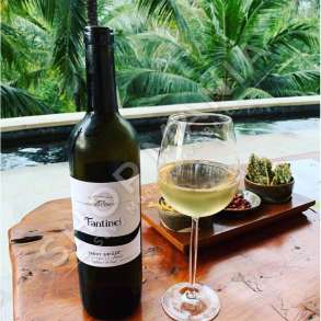 FANTINEL - VERE E BARDHE "PINOT GRIGIO 2016" - 750ML, 12.5% VOL.