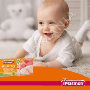 PLASMON - MISH MESHTJERRE & PULE "TE HOMOGJENIZUARA" - 2 x 80G, +6 MUAJ