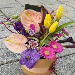 KOMPOZIM LULESH NE KUTI