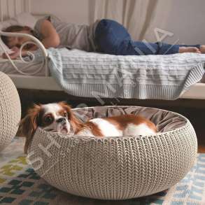 CURVER - SHTRAT ME THURJE PER KAFSHE SHTEPIAKE "COZY PET RATTAN SANDY" - 7290106931633