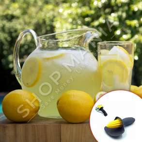 HOMESTYLE - SHTRYDHESE DORE LIMONI ME MBAJTESE PER FARAT - 46X38X58CM