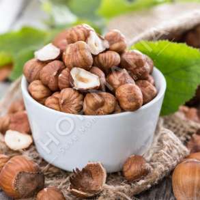 MERJA - LAJTHI - 33G