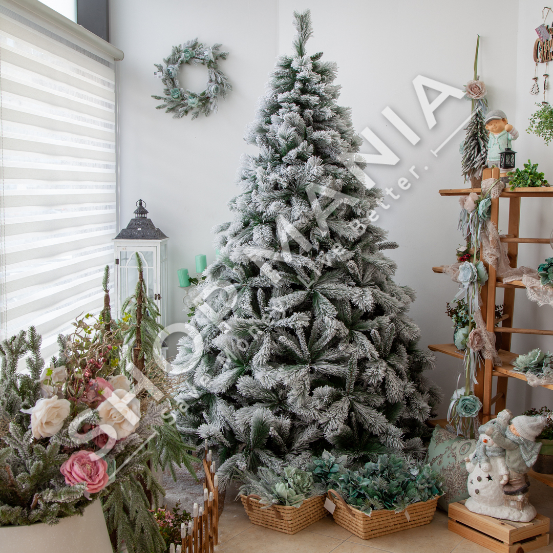 PEME VITI RI ME DEGE PLASTIKE & DEBORE 210CM - VR6-9