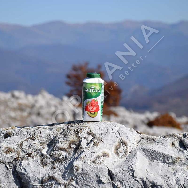 DANONE/ACTIVIA - KOS I LENGSHEM ME LULESHTRYDHE & KIWI - 320ML
