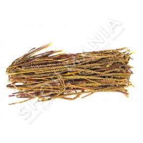 MERJA - KALLINJ DELLI "100% BIO" - 80G