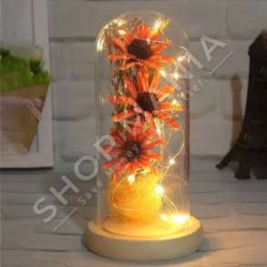 LULE ME XHAM DHE DRITE LED - VI-330