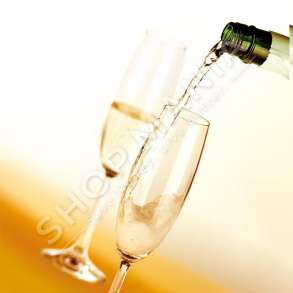 TESCOMA - SET 6 GOTA QELQI PER SHAMPANJE 220ML "CHARLIE" - 8595028440898