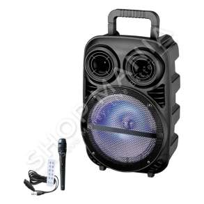 BOKS PORTATIV ME BLUETOOTH DHE MIKROFON "PK-15" - 15W