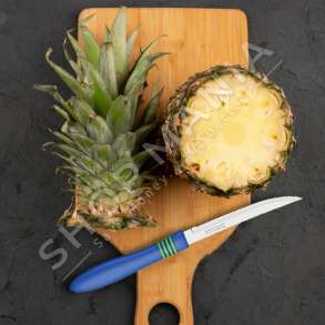 TRAMONTINA - SET THIKA BLU ME DHEMBEZIME PER PRERJEN E MISHIT - 27.5X6X1.4CM