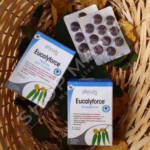PHYSALIS -  SUPLEMENT QE NDIHMON/QETESON GRYKEN & RRUGET E SIPERME TE FRYMEMARRJES "EUCALYFORCE KEELPASTILLES" - 30 KOKRRA