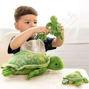 BRESHKE PREJ PELLUSHI 25CM