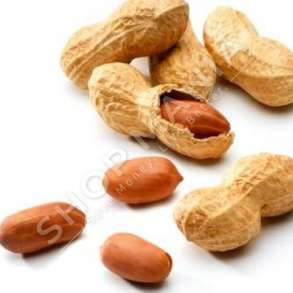 MERJA - KIKIRIKA - 170G